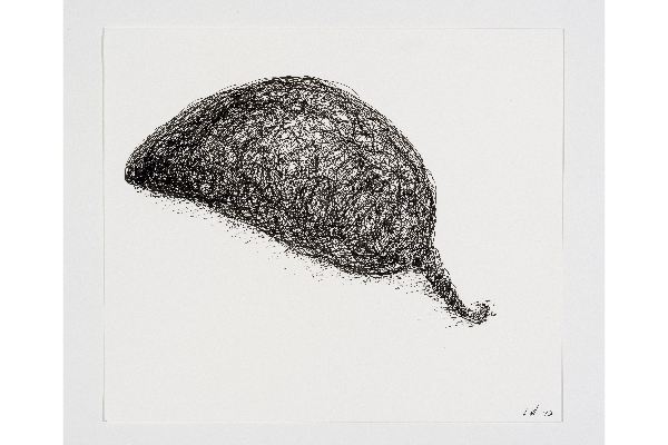 Drawn into Life XV, encre sur papier Canson Bristol, 11x9p.